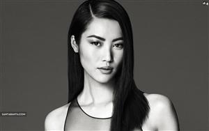 Chinese Liu Wen - the 1st  first East Asian model to walk the Victoria`s Secret Fashion Show